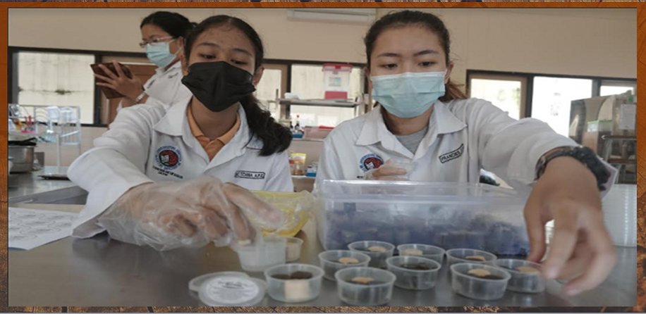 UKSW Salatiga Ciptakan Permen Herbal Tingkatkan Imunitas